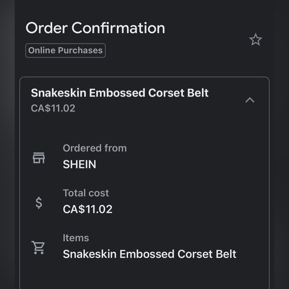 Women’s Shein gold snakeskin embossed corset belt (medium) - Picture 6 of 6